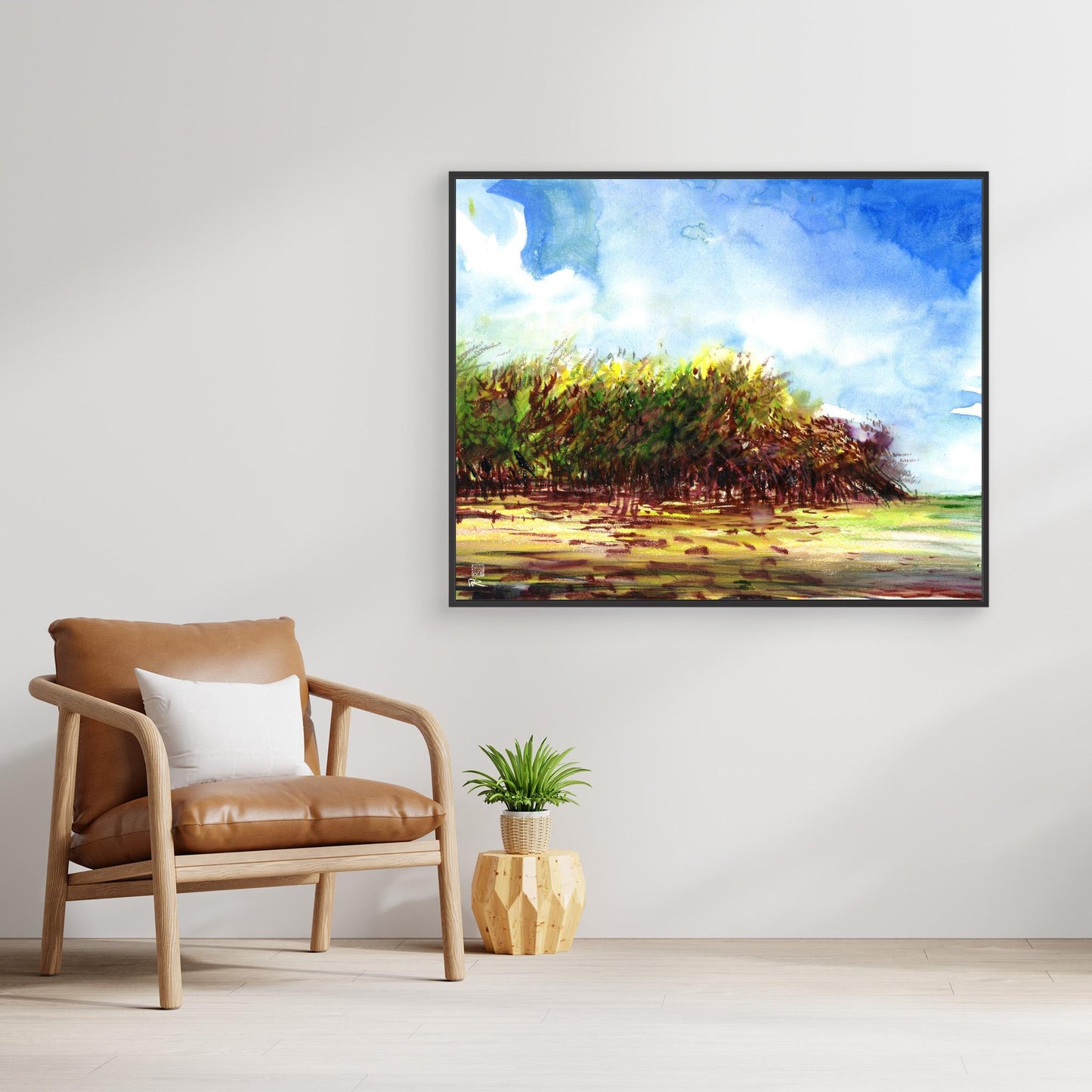 Punta Allen mangroves