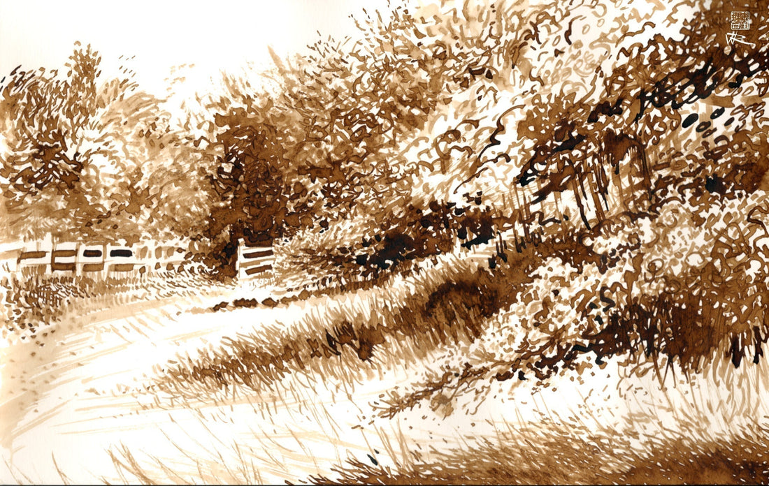 Reed pen drawing of Hawthorn in bloom in summer