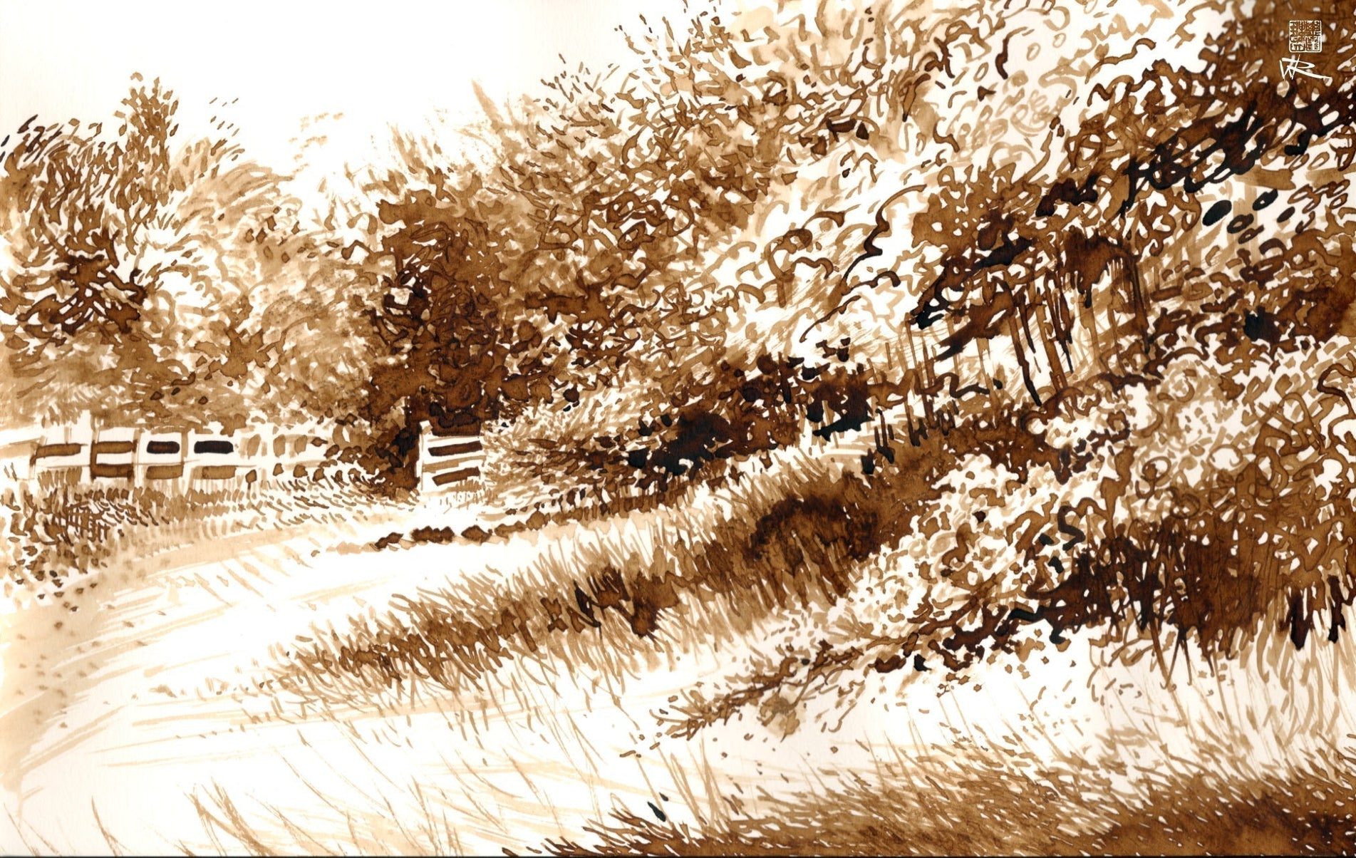 Reed pen drawing of Hawthorn in bloom in summer