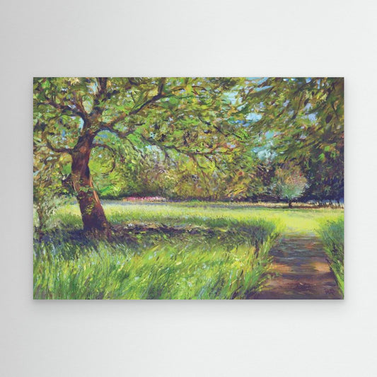 Light through the trees - Canvas art print