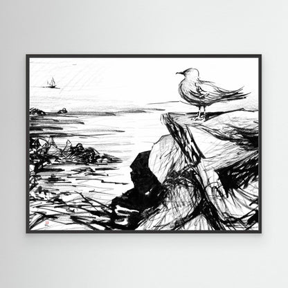Seagull at St Ives