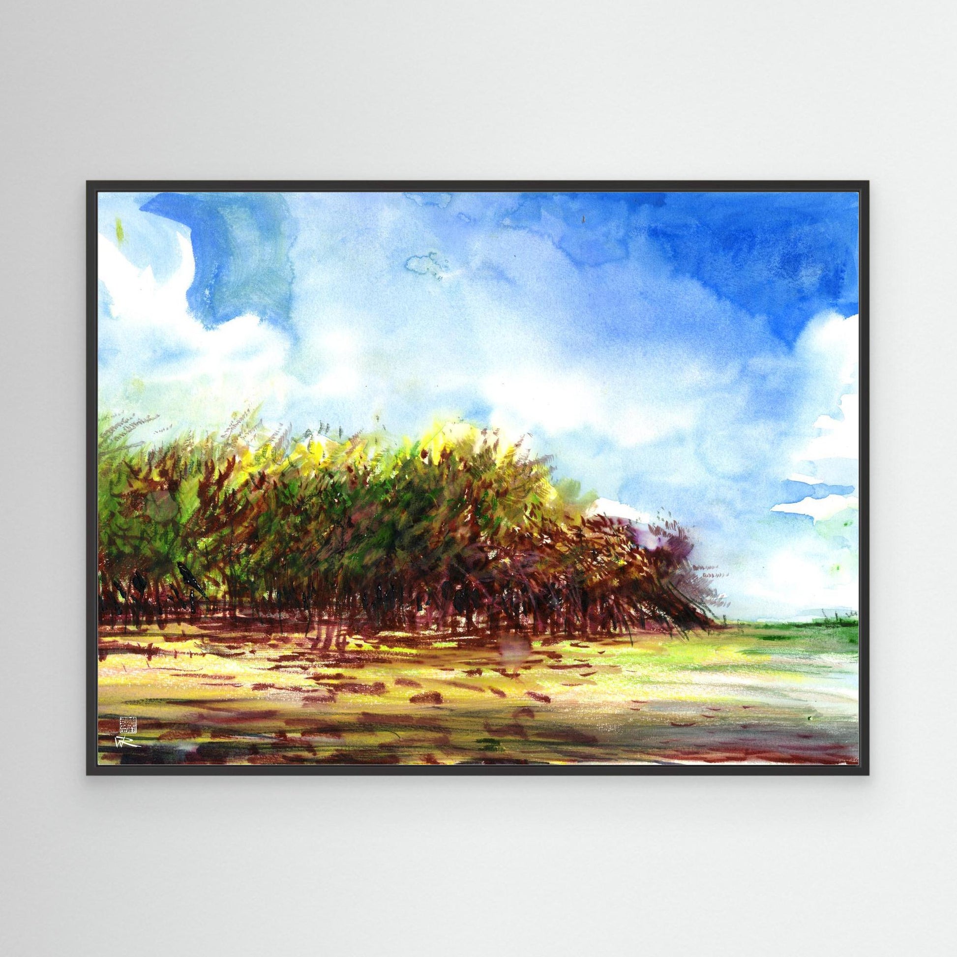 Punta Allen mangroves