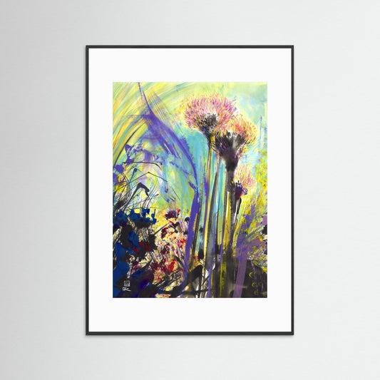 Allium flowerheads 2 - paper print