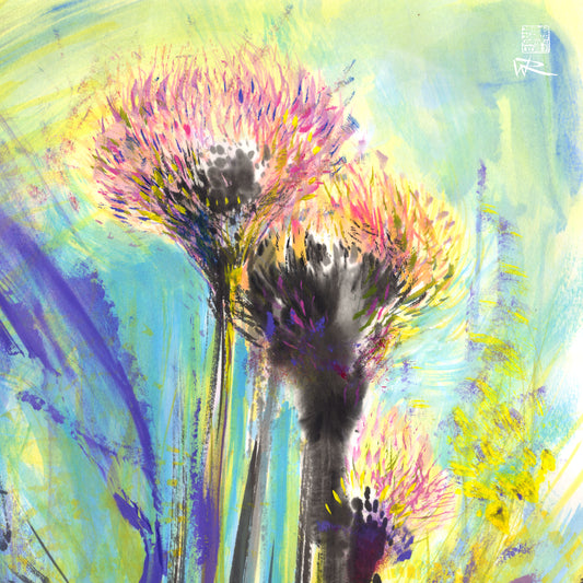 Allium flowerheads 1 - Print on fine art paper