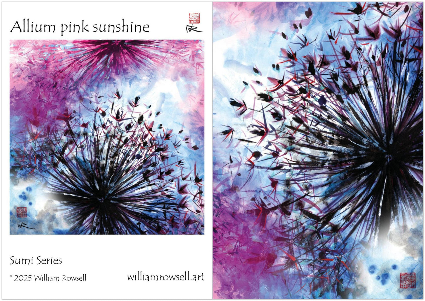 Allium pink sunshine - Pack of 10 greeting cards