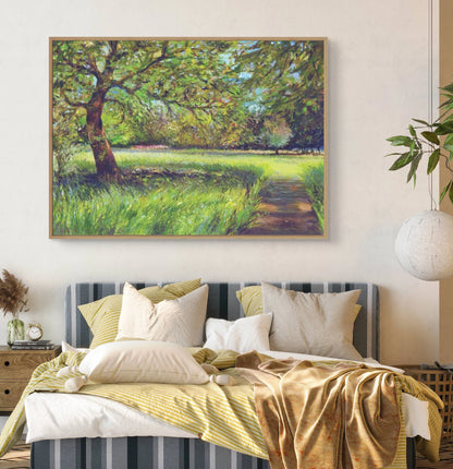 Light through the trees - Canvas art print