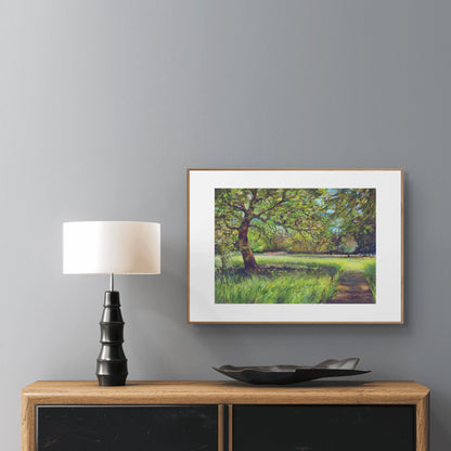 Light through the trees - Print on fine art paper