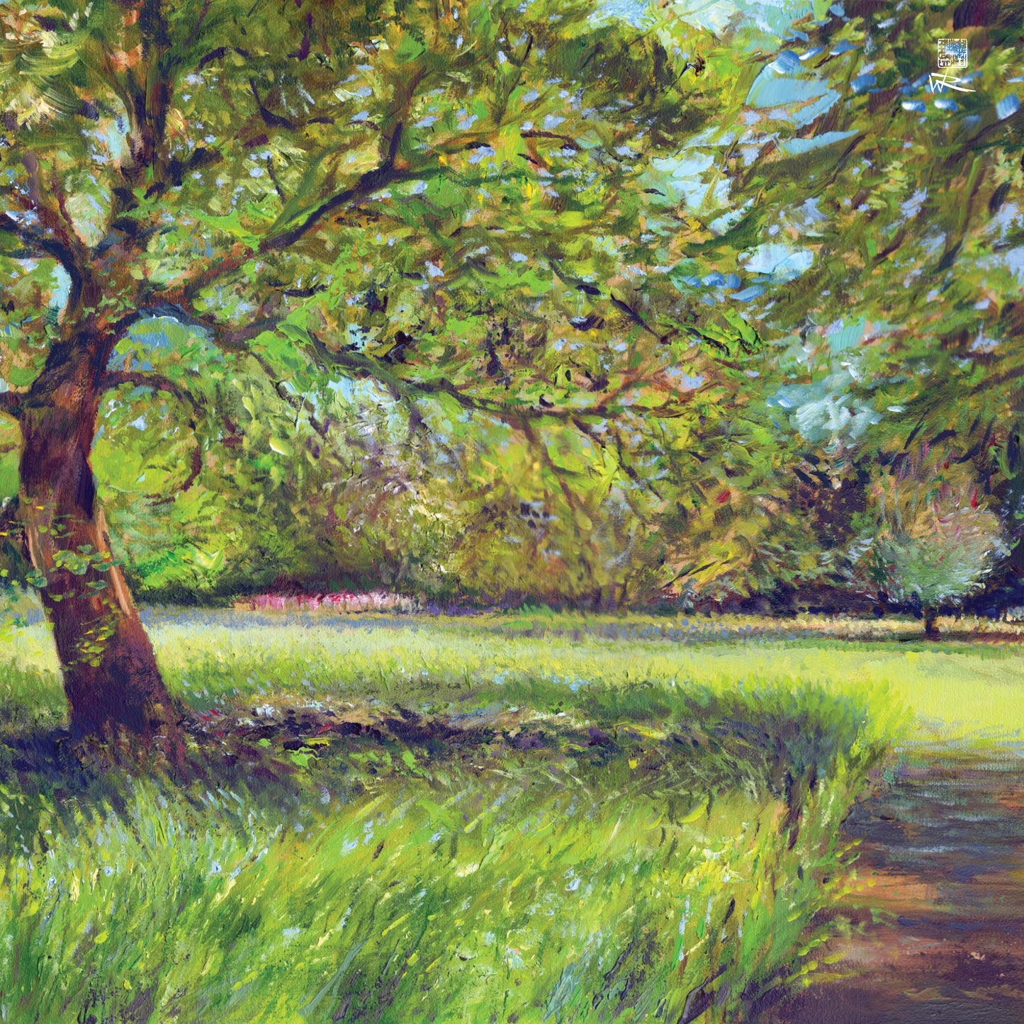 Light through the trees - Canvas art print