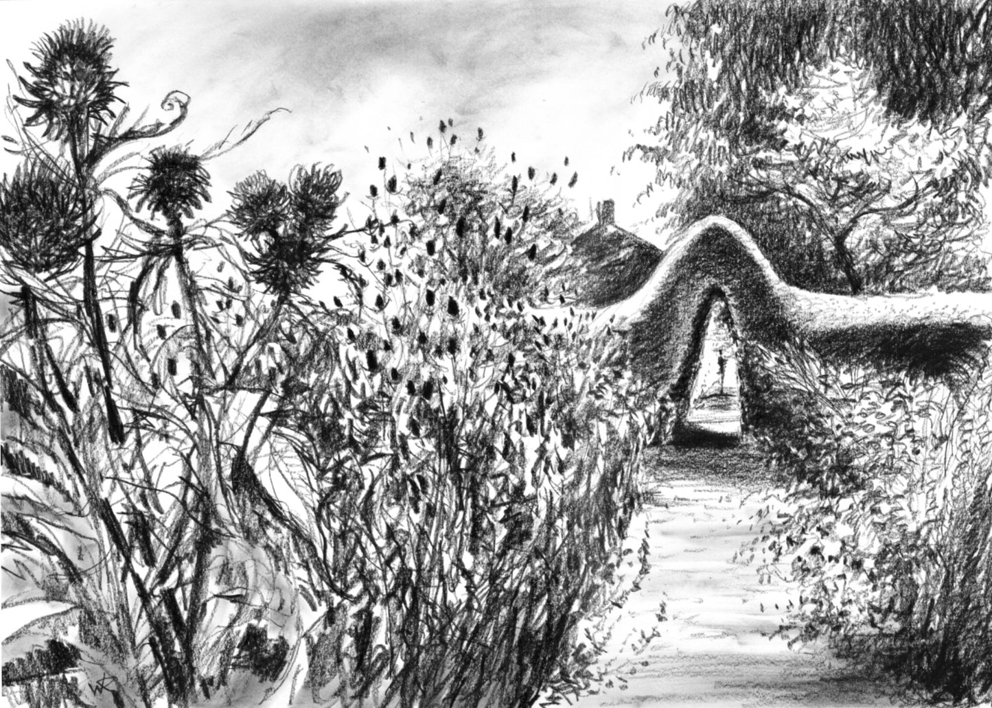 Rousham kitchen garden - Original charcoal drawing