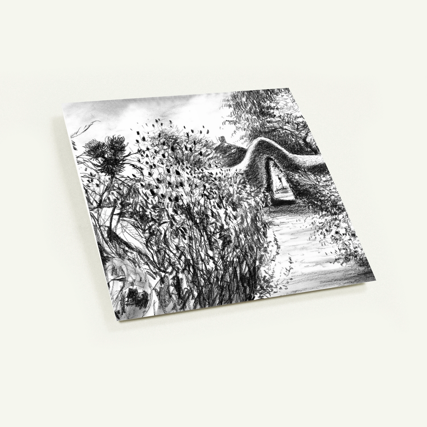 Rousham kitchen garden - Pack of 10 Greeting Cards