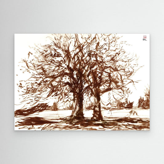 English oaks at Wotton