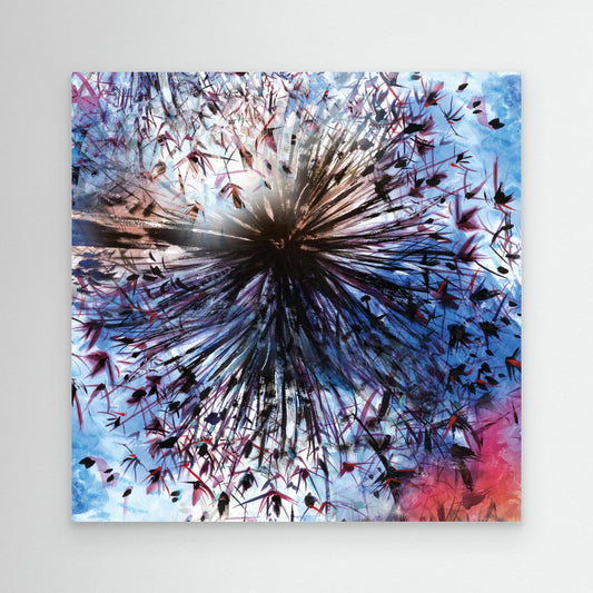 Allium explosion triptych 3