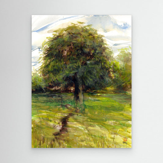 Horse chestnut in summer