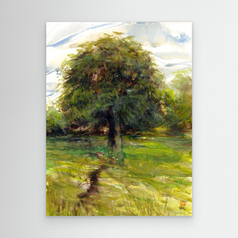 Rosskastanie im Sommer - Leinwanddruck