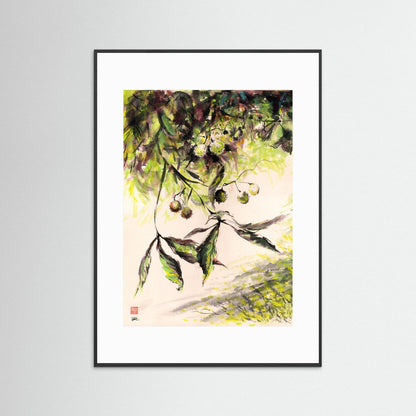 Horse Chestnuts - Print on Fine Art Paper