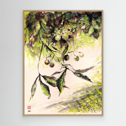 Horse Chestnuts - Canvas Art Print