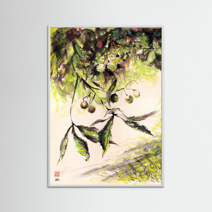 Horse Chestnuts - Print on Fine Art Paper
