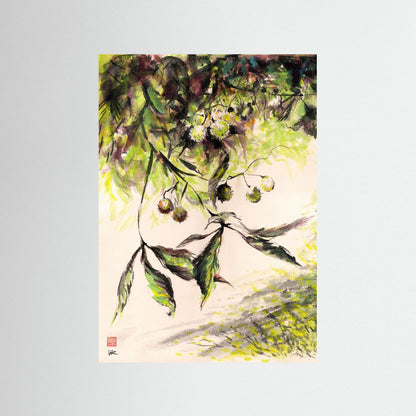 Horse Chestnuts - Print on Fine Art Paper