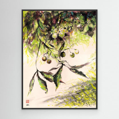 Horse Chestnuts - Canvas Art Print
