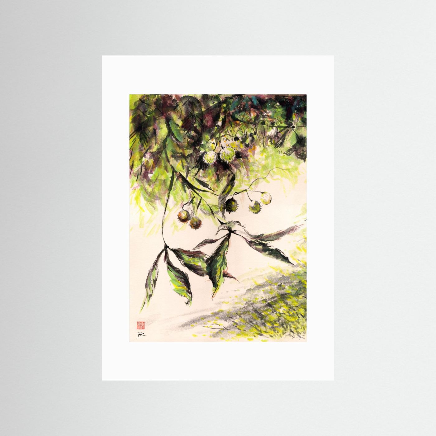 Horse Chestnuts - Print on Fine Art Paper