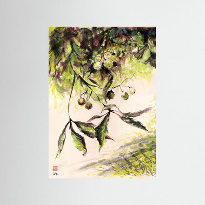 Horse Chestnuts - Print on Fine Art Paper