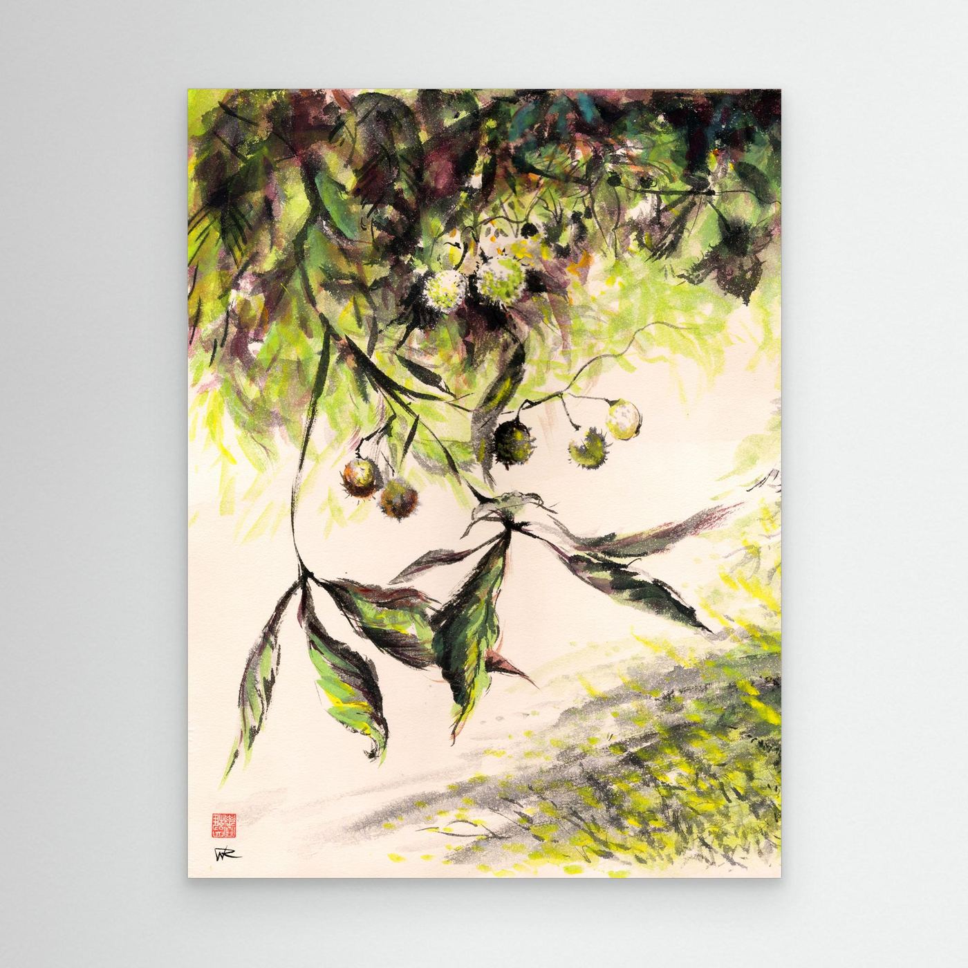 Horse Chestnuts - Canvas Art Print
