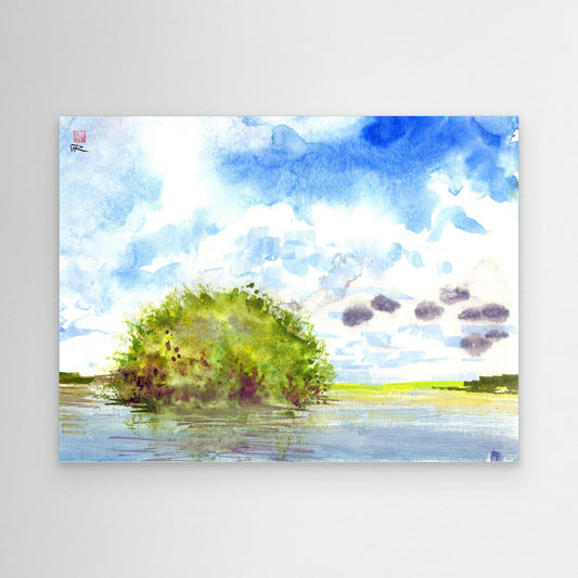 Punta Allen mangrove island