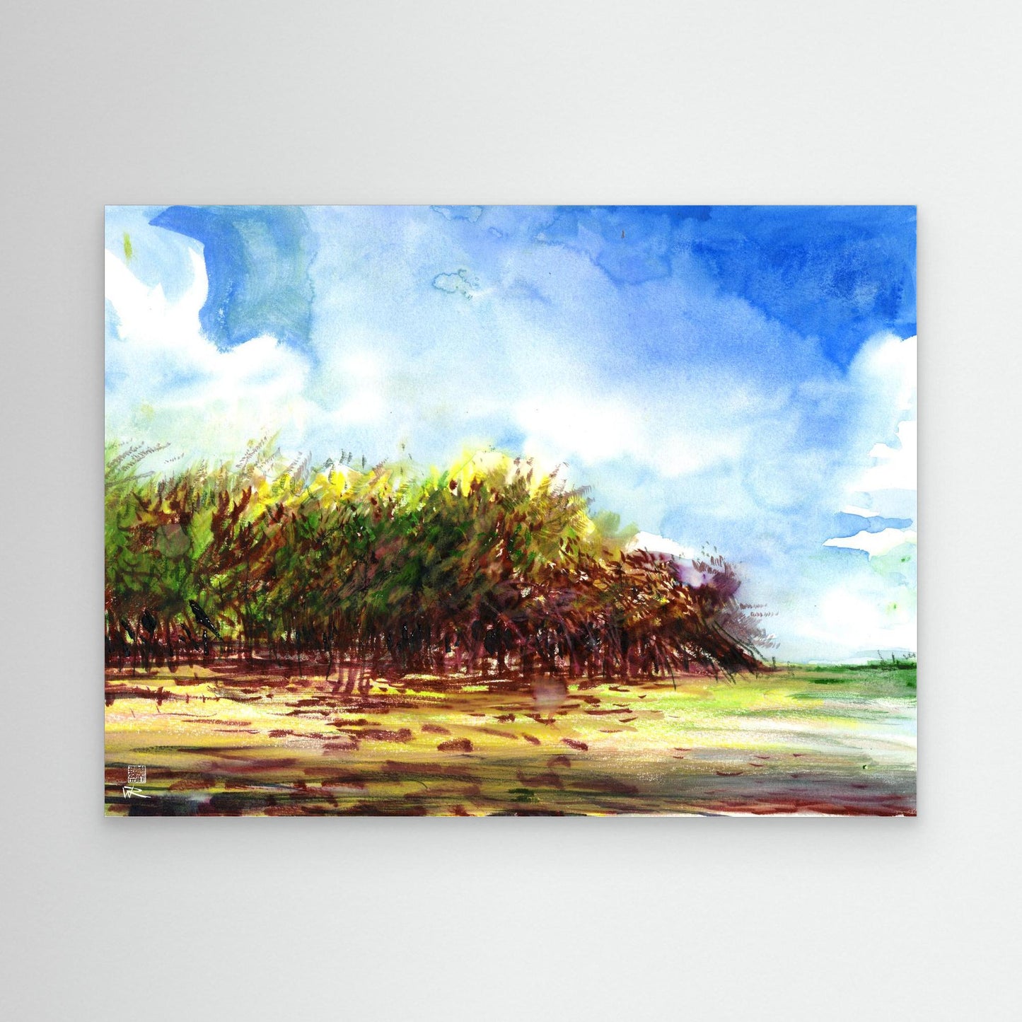 Punta Allen mangroves