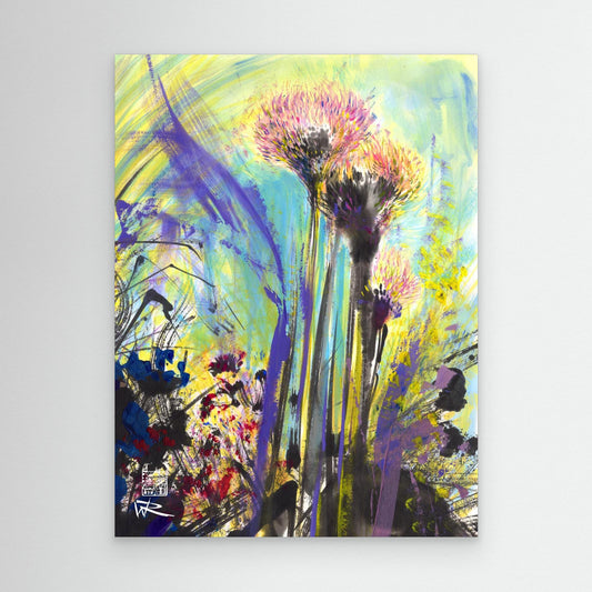Allium flowerheads 2 - canvas print
