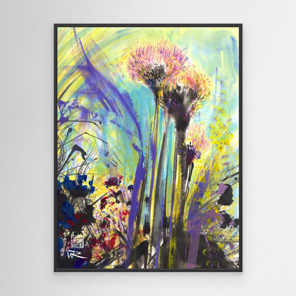 Allium flowerheads 2 - canvas print