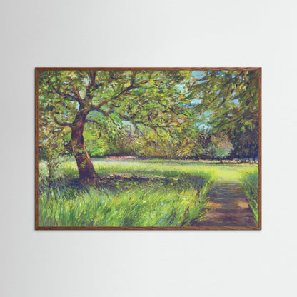 Light in the trees - Print on fine art paper