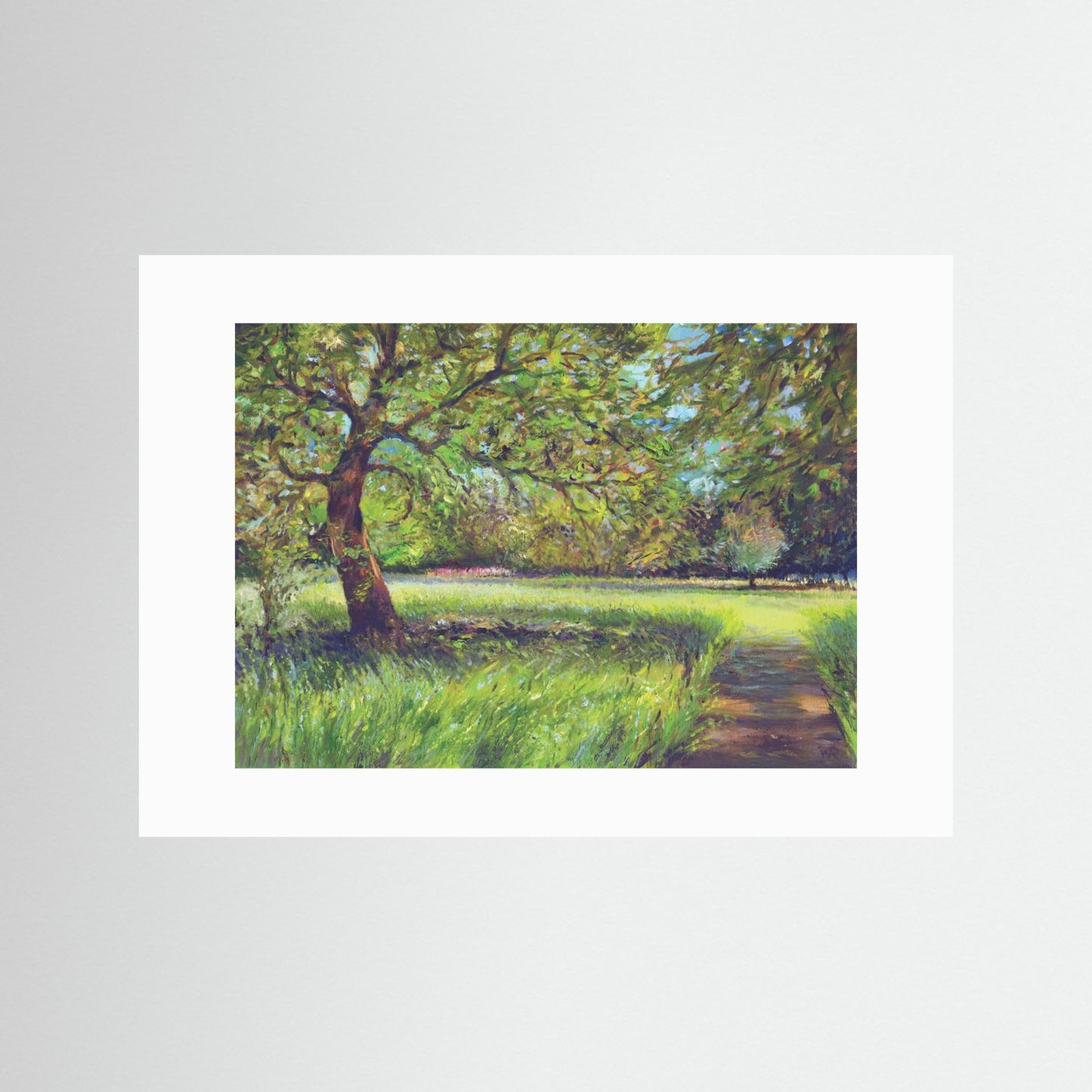Light in the trees - Print on fine art paper