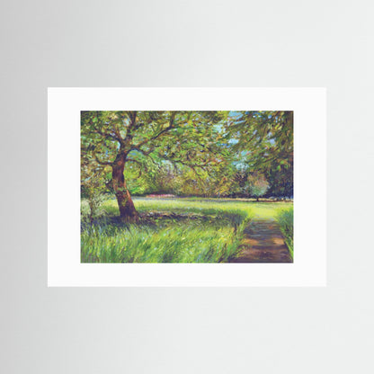 Light in the trees - Print on fine art paper