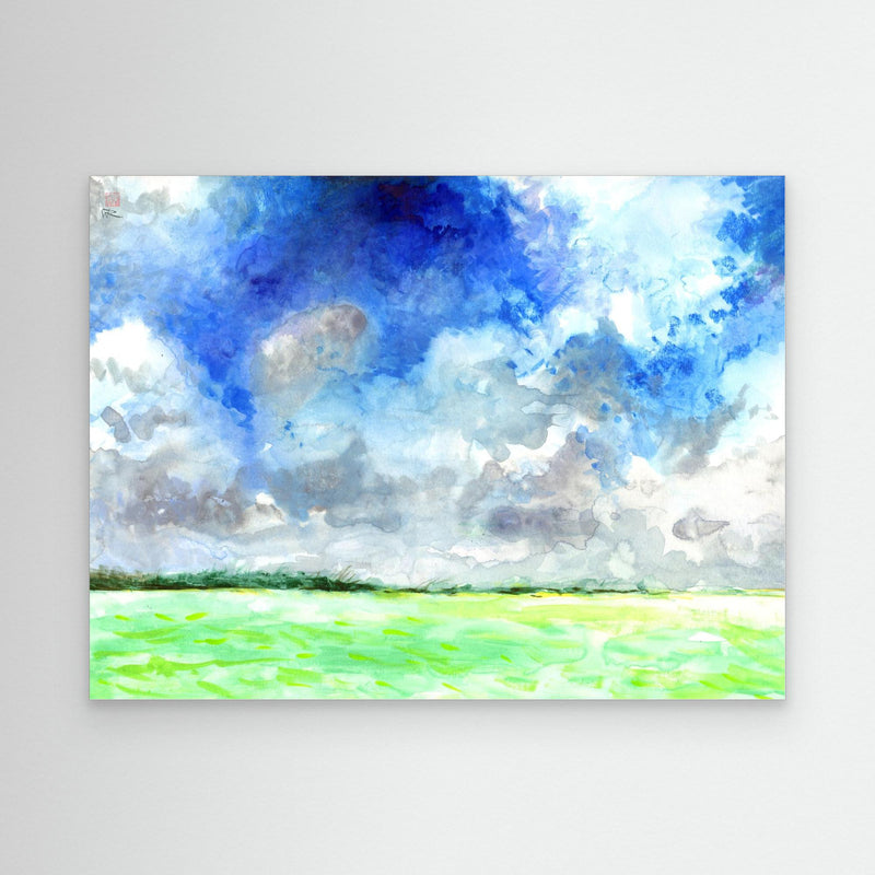 Salzwüste Punta Allen