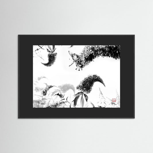 Butterflies on buddlejas - Paper print