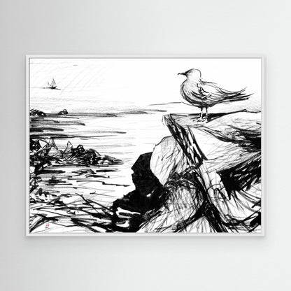 Seagull at St Ives