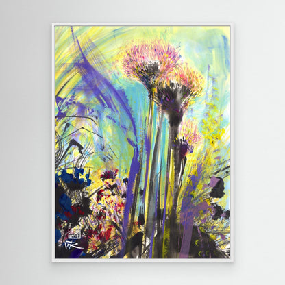 Allium flowerheads 2 - canvas print