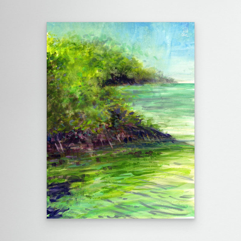 Mangroven bei Punta Allen, Mexiko