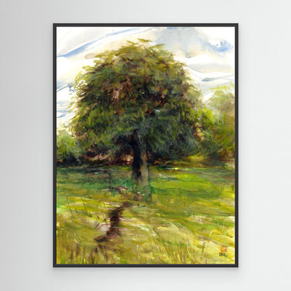 Horse chestnut in summer
