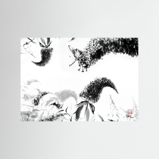 Butterflies on buddlejas - Paper print